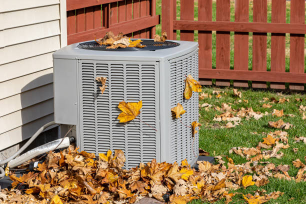 Best Residential HVAC Services  in Renville, MN