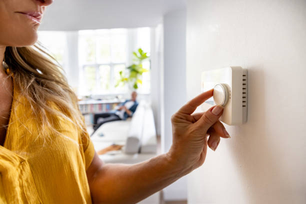 Best Local HVAC Companies  in Renville, MN