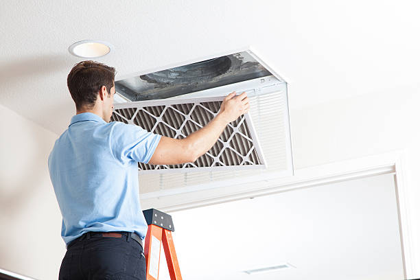 Best HVAC Air Duct Cleaning  in Renville, MN
